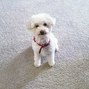 Meet your Posher, Kay